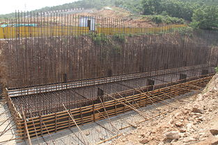 倒排工期，全力推進環山路改建工程高質量建設